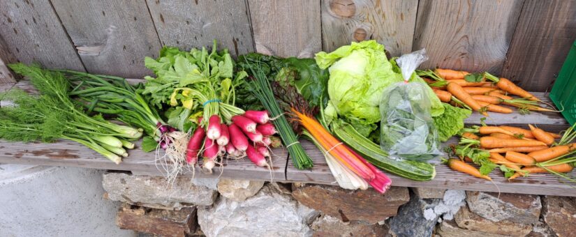 5. Ernteanteil für Dienstag 07. Juni und Freitag 10. Juni