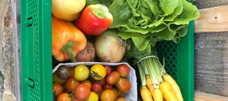 16. ERNTEANTEIL FÜR DIENSTAG 23. AUGUST UND FREITAG 26. AUGUST