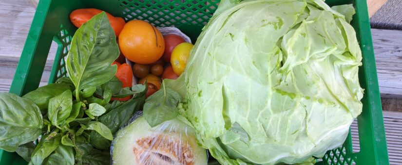 17. ERNTEANTEIL FÜR DIENSTAG 30. AUGUST UND FREITAG 02. SEPTEMBER